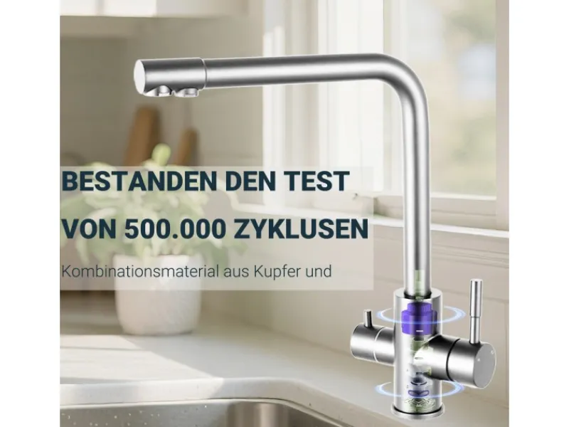 AICA Wasserhahn Silber Küche Spültischarmatur 3-Wege mit Trinkwasserfilter 2-Hebel Design für Doppelspülen 360° Schwenkbar< Zweigriffarmatur