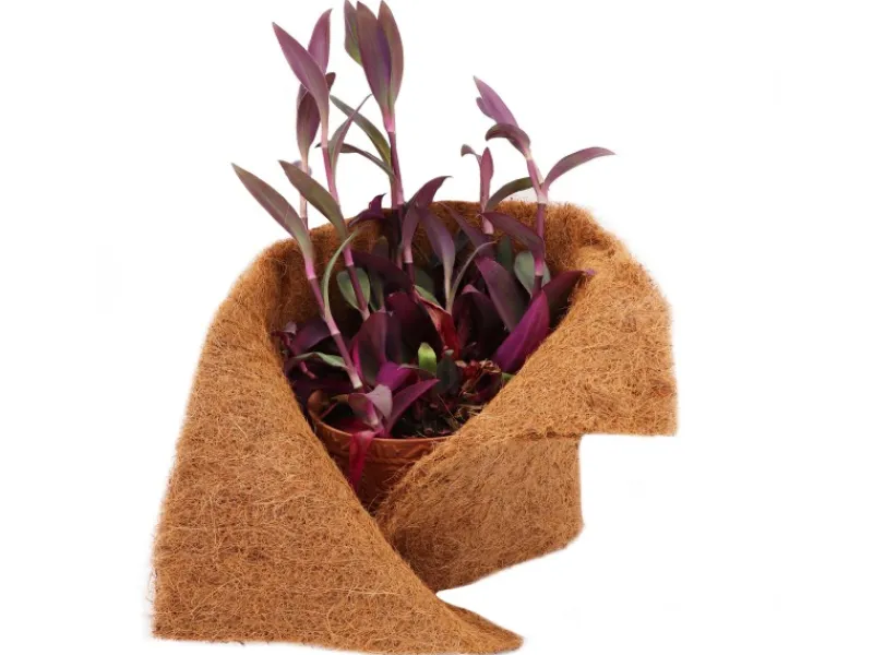 Aquagart Töpfe<2m Kokosmatte Winterschutz Böschungsmatte Kokosfasermatte 800g/m² 0,25m Breit