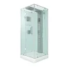AcquaVapore Einhebelmischer<AquaVapore Dampfdusche Duschtempel Sauna Dusche Duschkabine D38-20L3-EC 100x100