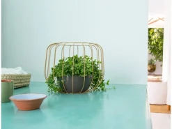 Artevasi Schale San Remo Ø 32 cm Weiß< Töpfe