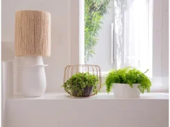 Artevasi Schale San Remo Ø 32 cm Weiß< Töpfe
