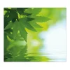 Banjado Schneidebretter|Herdabdeckungen<Herdabdeckplatte Glas 1 Teilig 60x52CM Schneidebrett Herdabdeckung Mit Motiv Blättertraum