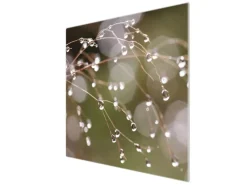 Banjado Herdabdeckplatte Glas 1 Teilig 60x52CM Schneidebrett Herdabdeckung Mit Motiv Tau Auf Zweigen< Herde|Herdabdeckungen