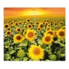 Banjado Herdabdeckplatte Glas 2 Teilig Je 30x52CM Schneidebrett Herdabdeckung Mit Motiv Sonnenblumenmeer< Herdabdeckungen|Herde
