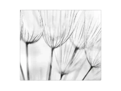 Banjado Herdabdeckplatte Glas 2 Teilig Je 30x52CM Schneidebrett Herdabdeckung Mit Motiv Pusteblumen Sw< Schneidebretter|Herdabdeckungen