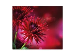 Clearance Banjado Herdabdeckplatte Glas 1 Teilig 60x52CM Schneidebrett Herdabdeckung Mit Motiv Rote Dahlien
