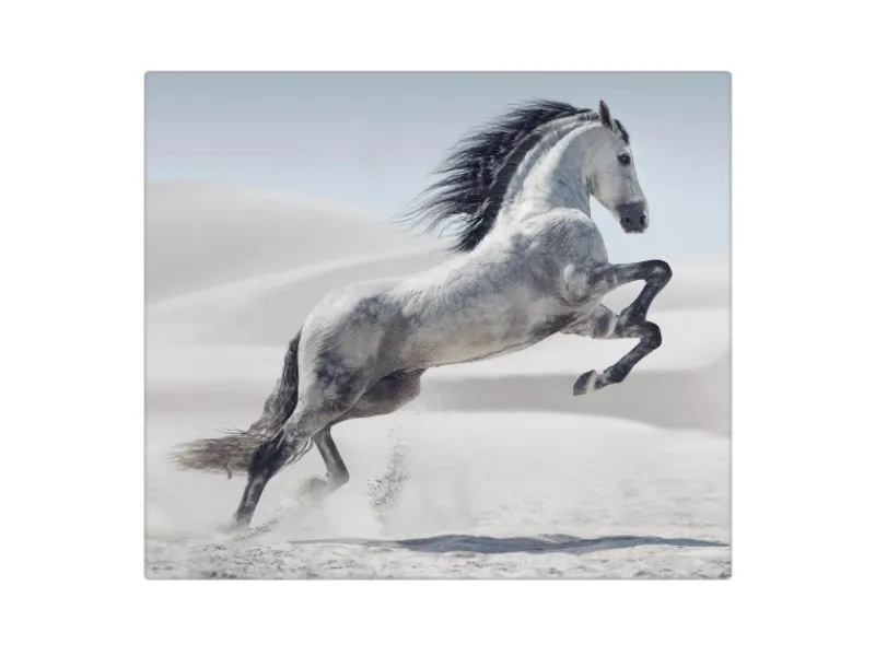 Banjado Herdabdeckungen|Herde<Herdabdeckplatte Glas 1 Teilig 60x52CM Schneidebrett Herdabdeckung Mit Motiv Wildes Pferd