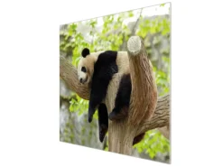 Banjado Herdabdeckungen|Kochfelder<Herdabdeckplatte Glas 1 Teilig 60x52CM Schneidebrett Herdabdeckung Mit Motiv Panda