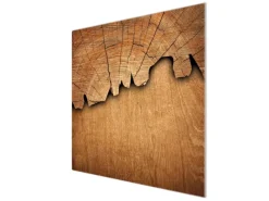 Banjado Schneidebretter|Herdabdeckungen<Herdabdeckplatte Glas 1 Teilig 60x52CM Schneidebrett Herdabdeckung Mit Motiv Holz