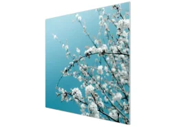 Banjado Herdabdeckplatte Glas 1 Teilig 60x52CM Schneidebrett Herdabdeckung Mit Motiv Weiße Kirschblüten< Herde|Kochfelder