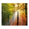 Sale Banjado Herdabdeckplatte Glas 1 Teilig 60x52CM Schneidebrett Herdabdeckung Mit Motiv Herbstwald