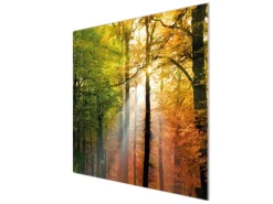 Sale Banjado Herdabdeckplatte Glas 1 Teilig 60x52CM Schneidebrett Herdabdeckung Mit Motiv Herbstwald
