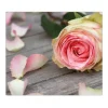 Banjado Herde|Kochfelder<Herdabdeckplatte Glas 1 Teilig 60x52CM Schneidebrett Herdabdeckung Mit Motiv Rosa Rose