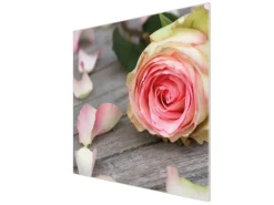 Banjado Herde|Kochfelder<Herdabdeckplatte Glas 1 Teilig 60x52CM Schneidebrett Herdabdeckung Mit Motiv Rosa Rose