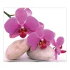 Outlet Banjado Herdabdeckplatte Glas 1 Teilig 60x52CM Schneidebrett Herdabdeckung Mit Motiv Orchidee