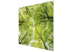 Banjado Herdabdeckplatte Glas 2 Teilig Je 30x52CM Schneidebrett Herdabdeckung Mit Motiv Zwischen Bäumen< Herdabdeckungen|Küchenrückwände