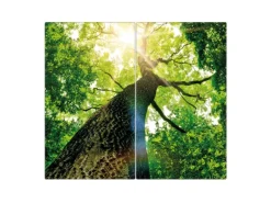 Outlet Banjado Herdabdeckplatte Glas 2 Teilig Je 30x52CM Schneidebrett Herdabdeckung Mit Motiv Baumkrone