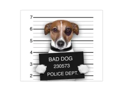 Banjado Herdabdeckplatte Glas 1 Teilig 60x52CM Schneidebrett Herdabdeckung Mit Motiv Bad Dog Jack Russel< Schneidebretter|Herdabdeckungen