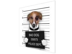 Banjado Herdabdeckplatte Glas 1 Teilig 60x52CM Schneidebrett Herdabdeckung Mit Motiv Bad Dog Jack Russel< Schneidebretter|Herdabdeckungen