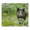 Banjado Herdabdeckplatte Glas 2 Teilig Je 30x52CM Schneidebrett Herdabdeckung Mit Motiv Wildschwein< Schneidebretter|Herdabdeckungen