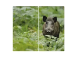 Banjado Herdabdeckplatte Glas 2 Teilig Je 30x52CM Schneidebrett Herdabdeckung Mit Motiv Wildschwein< Schneidebretter|Herdabdeckungen
