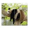 Banjado Herdabdeckplatte Glas 2 Teilig Je 30x52CM Schneidebrett Herdabdeckung Mit Motiv Panda< Herde|Kochfelder