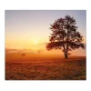 Discount Banjado Herdabdeckplatte Glas 1 Teilig 60x52CM Schneidebrett Herdabdeckung Mit Motiv Sonnenaufgang
