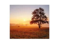 Discount Banjado Herdabdeckplatte Glas 1 Teilig 60x52CM Schneidebrett Herdabdeckung Mit Motiv Sonnenaufgang