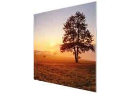 Discount Banjado Herdabdeckplatte Glas 1 Teilig 60x52CM Schneidebrett Herdabdeckung Mit Motiv Sonnenaufgang