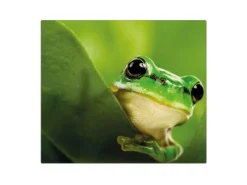 Banjado Herdabdeckplatte Glas 1 Teilig 60x52CM Schneidebrett Herdabdeckung Mit Motiv Frosch< Herde|Kochfelder