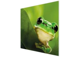 Banjado Herdabdeckplatte Glas 1 Teilig 60x52CM Schneidebrett Herdabdeckung Mit Motiv Frosch< Herde|Kochfelder