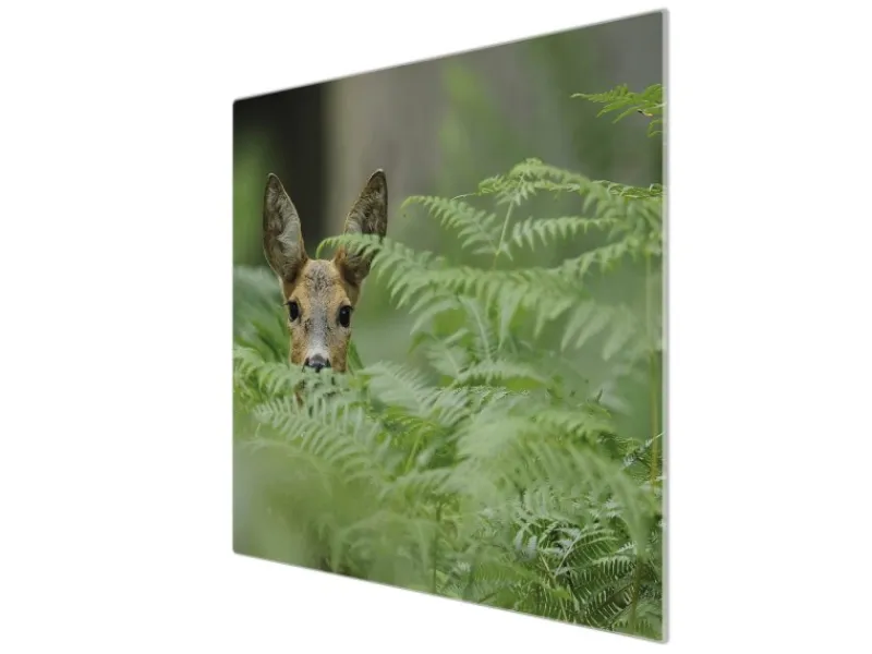 Discount Banjado Herdabdeckplatte Glas 1 Teilig 60x52CM Schneidebrett Herdabdeckung Mit Motiv Reh