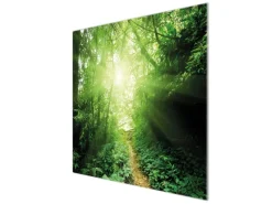Banjado Herdabdeckungen|Herde<Herdabdeckplatte Glas 1 Teilig 60x52CM Schneidebrett Herdabdeckung Mit Motiv Dschungel Malaysia
