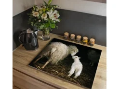Banjado Herde|Kochfelder<Herdabdeckplatte Glas 1 Teilig 60x52CM Schneidebrett Herdabdeckung Mit Motiv Schaf Und Lamm