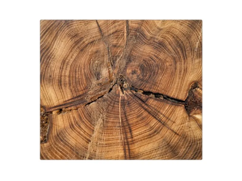 Banjado Schneidebretter|Herdabdeckungen<Herdabdeckplatte Glas 1 Teilig 60x52CM Schneidebrett Herdabdeckung Mit Motiv Jahresringe