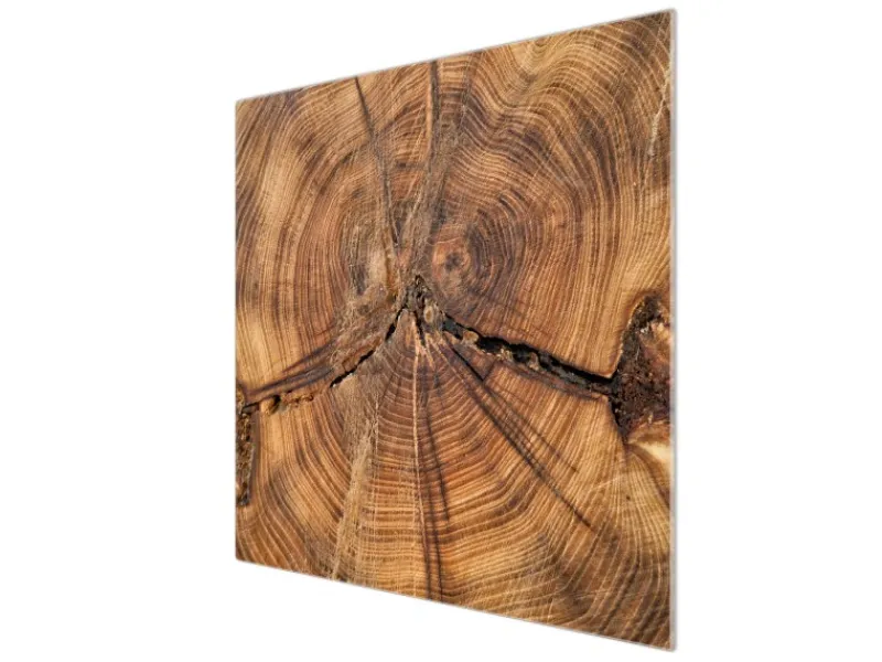 Banjado Schneidebretter|Herdabdeckungen<Herdabdeckplatte Glas 1 Teilig 60x52CM Schneidebrett Herdabdeckung Mit Motiv Jahresringe