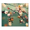 Banjado Schneidebretter|Herdabdeckungen<Herdabdeckplatte Glas 1 Teilig 60x52CM Schneidebrett Herdabdeckung Mit Motiv Japankirsche