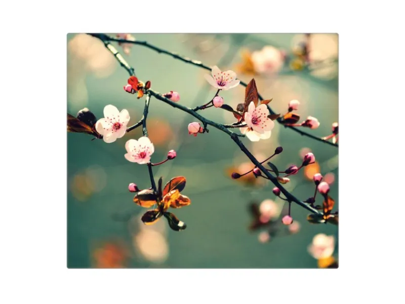 Banjado Schneidebretter|Herdabdeckungen<Herdabdeckplatte Glas 1 Teilig 60x52CM Schneidebrett Herdabdeckung Mit Motiv Japankirsche