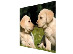 Banjado Herdabdeckplatte Glas 1 Teilig 60x52CM Schneidebrett Herdabdeckung Mit Motiv Labrador< Schneidebretter|Herde