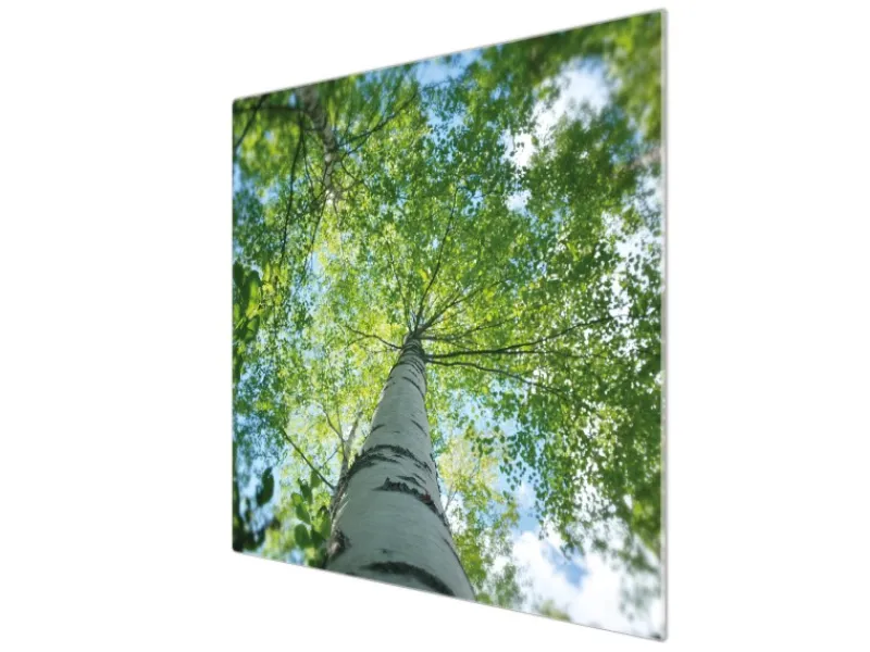 Banjado Schneidebretter|Herdabdeckungen<Herdabdeckplatte Glas 1 Teilig 60x52CM Schneidebrett Herdabdeckung Mit Motiv Zwischen Bäumen 5
