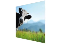 Banjado Herdabdeckplatte Glas 2 Teilig Je 30x52CM Schneidebrett Herdabdeckung Mit Motiv Neugierig< Schneidebretter|Herdabdeckungen
