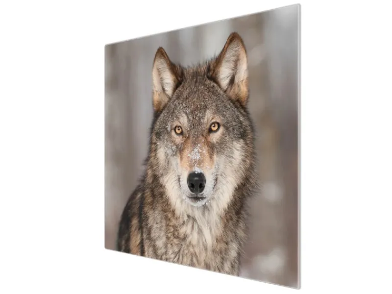 Banjado Herdabdeckplatte Glas 1 Teilig 60x52CM Schneidebrett Herdabdeckung Mit Motiv Soraya