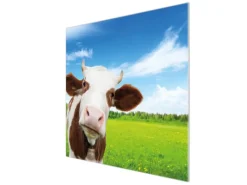 Banjado Schneidebretter|Herdabdeckungen<Herdabdeckplatte Glas 1 Teilig 60x52CM Schneidebrett Herdabdeckung Mit Motiv Pardon