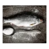 Banjado Schneidebretter|Herdabdeckungen<Herdabdeckplatte Glas 1 Teilig 60x52CM Schneidebrett Herdabdeckung Mit Motiv Fisch Und Salz
