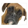 Banjado Herde|Kochfelder<Herdabdeckplatte Glas 2 Teilig Je 30x52CM Schneidebrett Herdabdeckung Mit Motiv Boxer