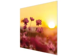 Banjado Herdabdeckplatte Glas 1 Teilig 60x52CM Schneidebrett Herdabdeckung Mit Motiv Cosmea Feld