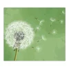 Banjado Herdabdeckplatte Glas 1 Teilig 60x52CM Schneidebrett Herdabdeckung Mit Motiv Pusteblume 3