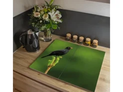 Banjado Schneidebretter|Herde<Herdabdeckplatte Glas 2 Teilig Je 30x52CM Schneidebrett Herdabdeckung Mit Motiv Vogel Auf Tannenzweig