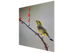 Sale Banjado Herdabdeckplatte Glas 1 Teilig 60x52CM Schneidebrett Herdabdeckung Mit Motiv Herbst Vogel