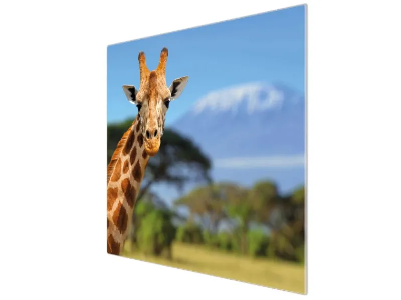 Banjado Schneidebretter|Herdabdeckungen<Herdabdeckplatte Glas 1 Teilig 60x52CM Schneidebrett Herdabdeckung Mit Motiv Miss Kilimandscharo